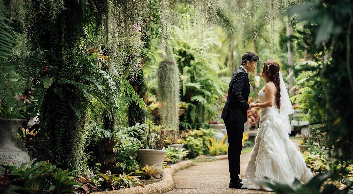 Pre wedding photoshoot in phuket botanic gardens