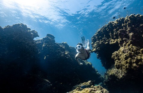 Diving at Nakalay House Reef