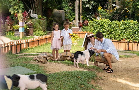 Beach Zoo