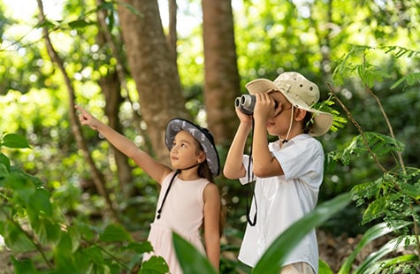 Nature Exploration Activities for Families