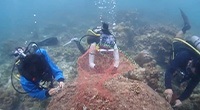 Nakalay Reef Coral Conservation