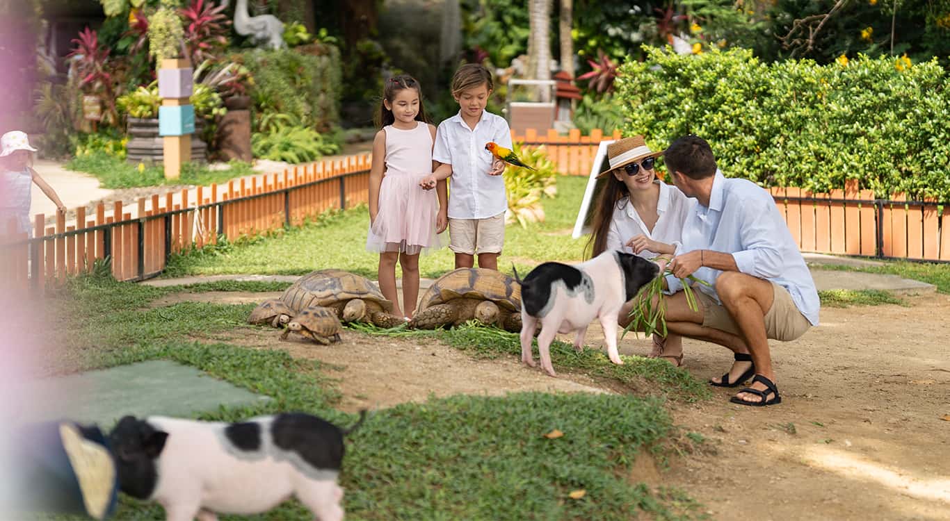 Beach Zoo in Kamala Beach Resort