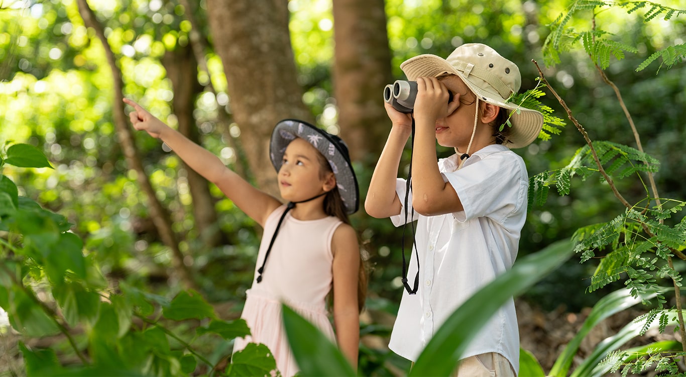 Nature Exploration Activities for Families