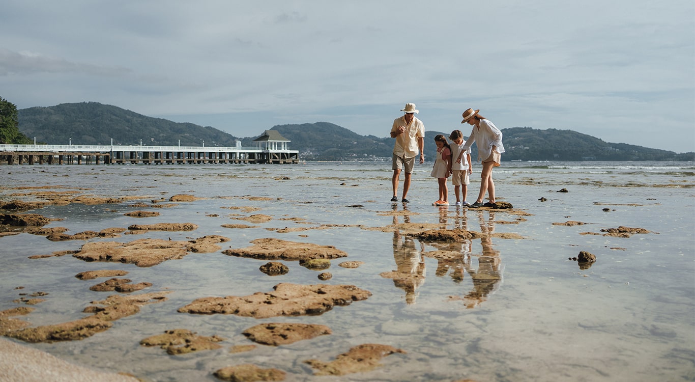 the remains of a coral reef now home to an abundance of sea life.